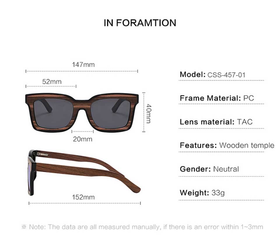 Large Sunglasses