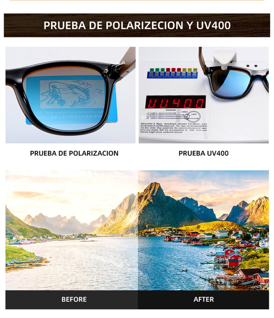 Optical Eyeglasses