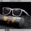 Protective Glasses