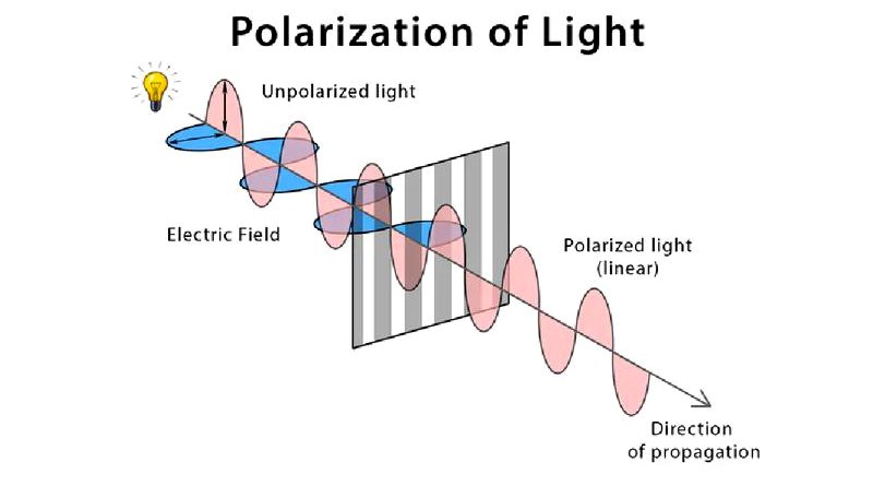 polarised lenses
